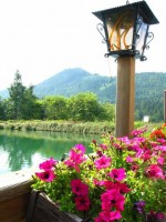 /album/fotogalerie-rakousko-i/a01-57-jpg/